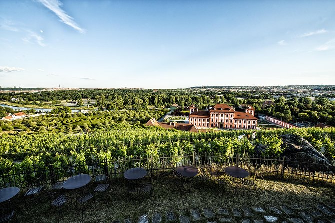 Prague´s Hidden Vineyards Private Tour - Grebovka starts with a quiet glass of wine