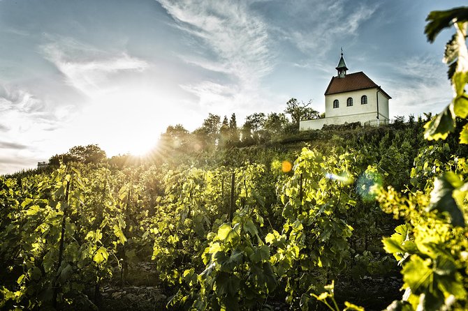 Prague´s Hidden Vineyards Private Tour - Who will get the most from this vineyard tour
