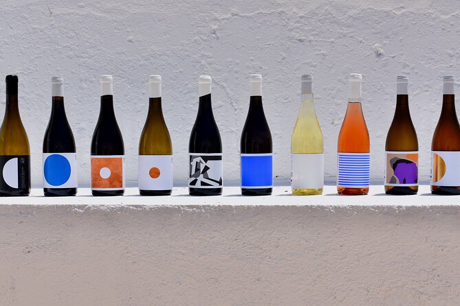 Premium Vineyard Tour & Tasting - Walking the vines and hearing the estate story