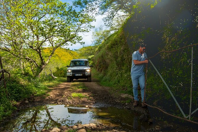 Private 4x4 Jeep Half Day - Picturesque Peaks, Vineyards, Skywalk - Why this half-day works well in Madeira