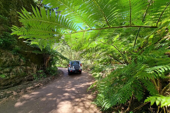 Private 4x4 Jeep Half Day - Picturesque Peaks, Vineyards, Skywalk - Cabo Girão: Madeira’s high glass platform