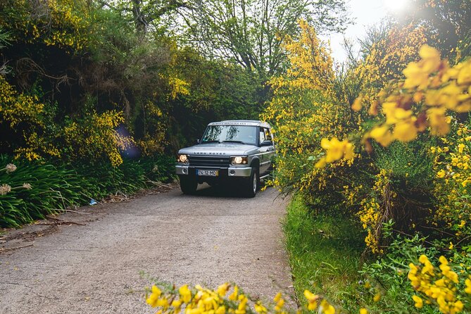 Private 4x4 Jeep Half Day - Picturesque Peaks, Vineyards, Skywalk - Câmara de Lobos: boats, harbor life, and a quick start