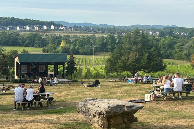 Private Arrington Wine and Franklin Dine Tour from Nashville - What the six-hour Nashville wine tour actually gives you
