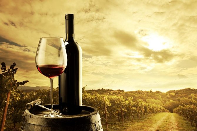 Private Barossa Valley Wine Region Tour from Adelaide - Who should choose this private experience