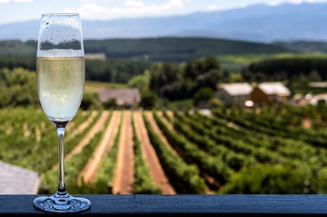 Private Champagne Day Trip - Two Vineyards of Reims & Lunch - Lunch in Ludes with local Champagne