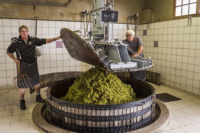 Private Champagne Day Trip - Two Vineyards of Reims & Lunch - A second family winery and a useful comparison