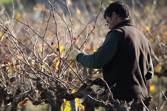 Private Champagne Day Trip - Two Vineyards of Reims & Lunch - Is $728.98 per person good value?