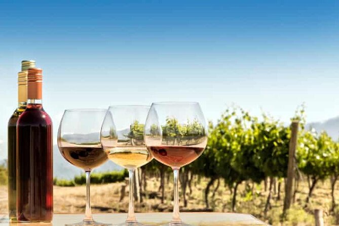 Private Day Trip to Kakheti Wine Region Including Wine Tasting - Who will enjoy this private Kakheti day