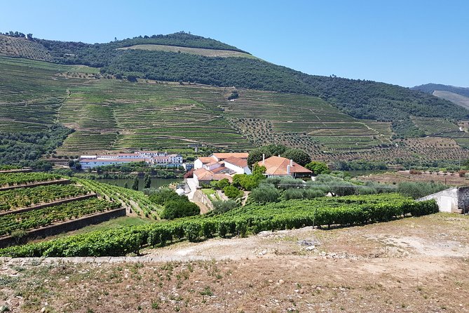 Private Douro Valley visit to three vineyards with Lunch from Porto - National Road 222 and the road to Folgosa
