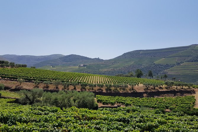 Private Douro Valley visit to three vineyards with Lunch from Porto - Pinhão views before lunch