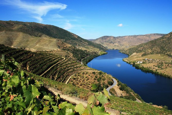 Private Douro Valley visit to three vineyards with Lunch from Porto - Lamego and the first family vineyard