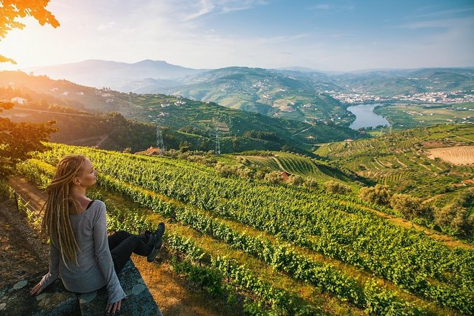 Private Douro Valley Wine Tour: 2 Wine Estates, Lunch and Cruise - The drive from Porto to Sabrosa