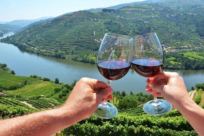 Private Douro Valley Wine Tour: 2 Wine Estates, Lunch and Cruise - Viewpoints, Pinhão, and National Road 222