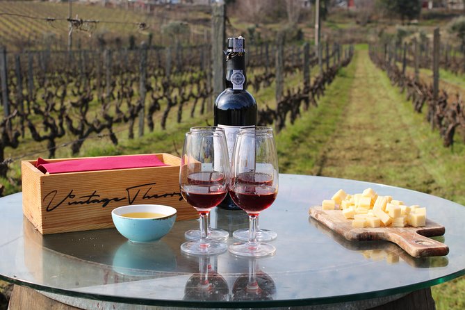 Private Douro Valley Wine Tour: 2 Wine Estates, Lunch and Cruise - The Pinhão river cruise