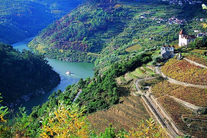 Private Douro Valley Wine Tour: 2 Wine Estates, Lunch and Cruise - The second estate and final tasting
