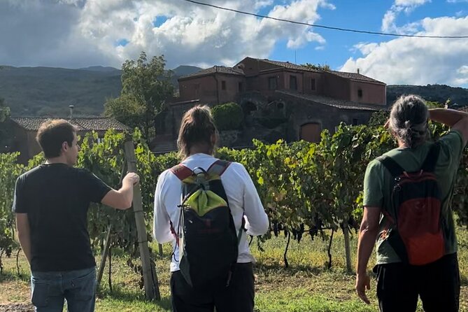 Private Etna Tour and 200 Years Old Winery Visit with Lunch - Who Should Book This Private Etna Tour?