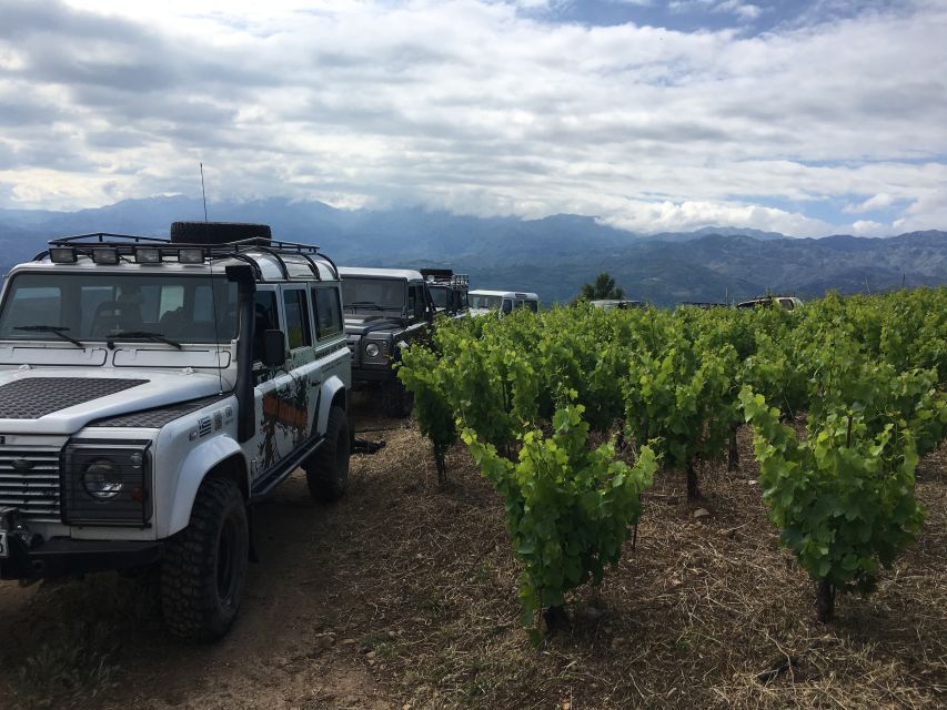 Private Exclusive Manousakis Winery and Vineyard Tour - Key points at a glance