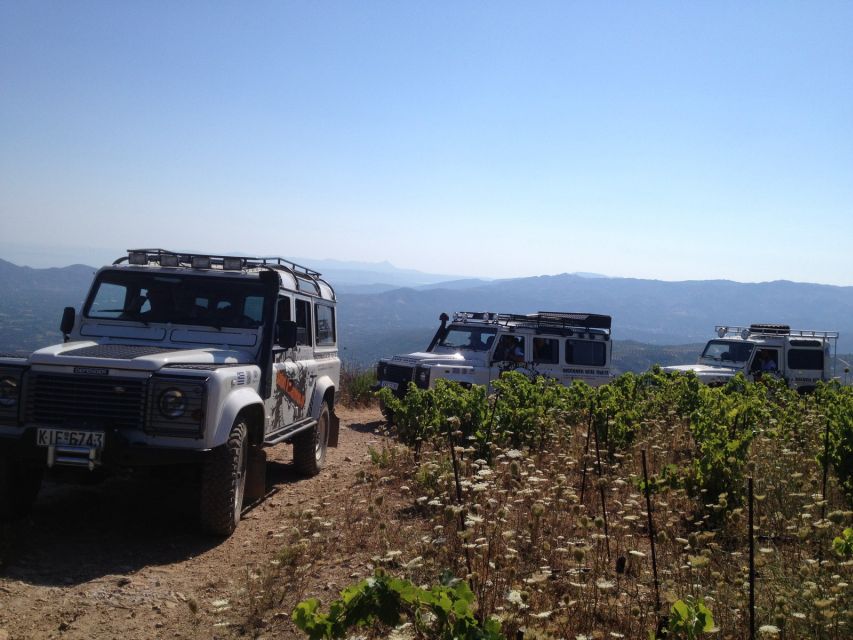 Private Exclusive Manousakis Winery and Vineyard Tour - Should you book the Manousakis Winery tour?