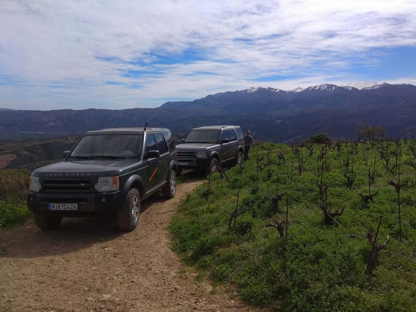 Private Exclusive Manousakis Winery and Vineyard Tour - The vineyard viewpoint at 660 meters