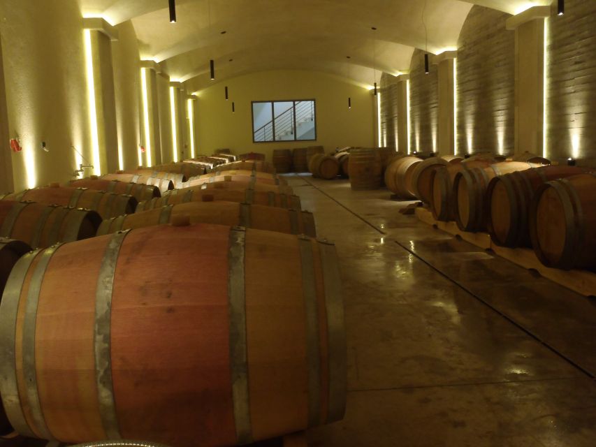 Private Exclusive Manousakis Winery and Vineyard Tour - The road through the traditional village
