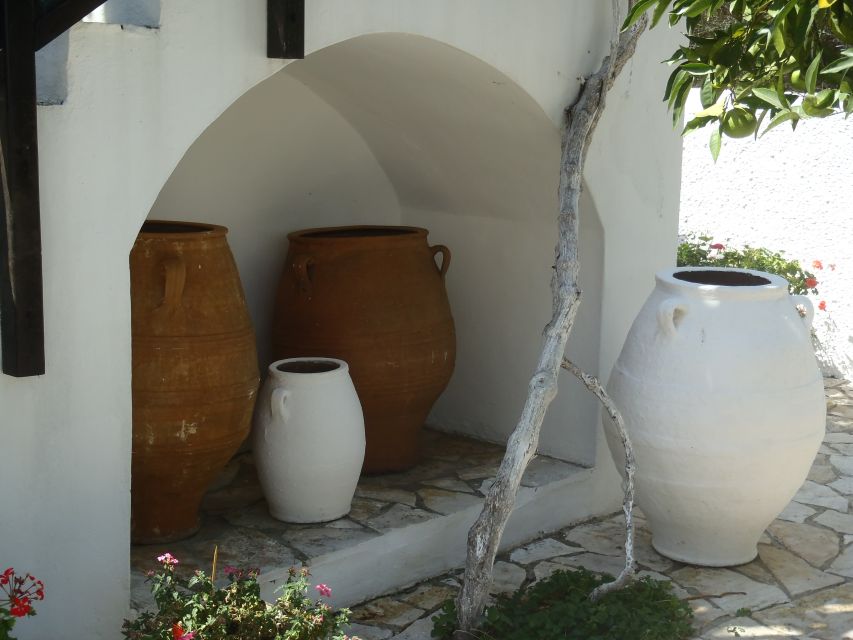 Private Exclusive Manousakis Winery and Vineyard Tour - Who will enjoy this most