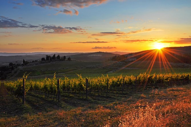 Private Florence and Chianti Wine countryside from Pisa Including Wine Taste - The Uffizi area and the cost of art admission
