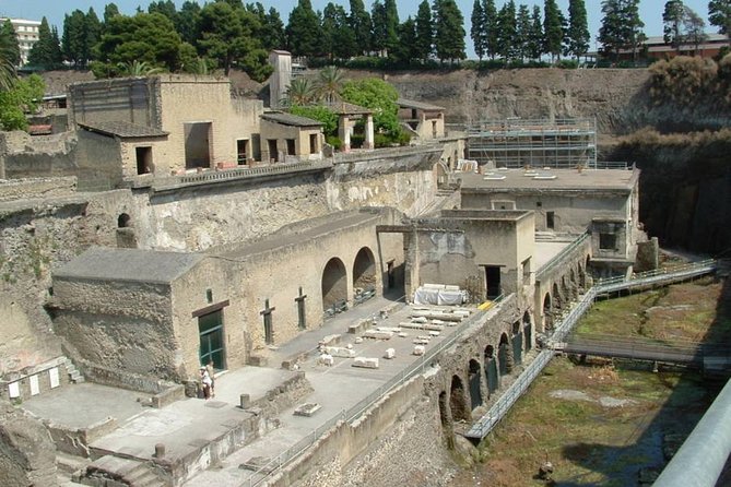Private Full-Day Tour to Pompeii and Mt. Vesuvius with Winery Visit - Who will enjoy this Naples day most