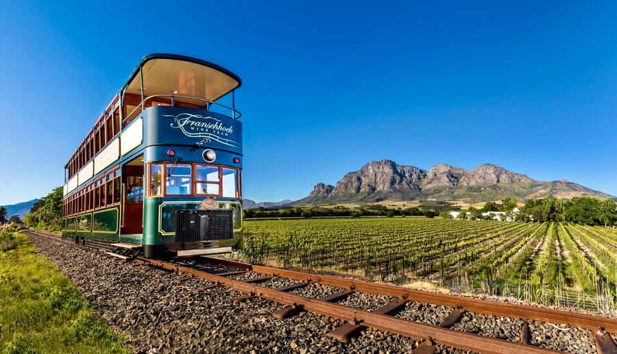 Private Full-Day Winelands Tour in Stellenbosch - Key points to know before booking