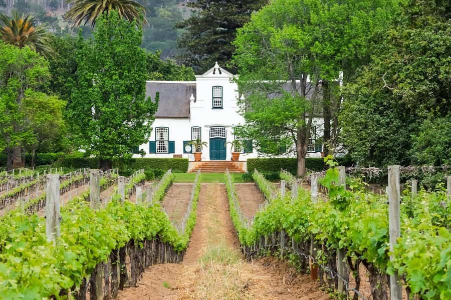 Private Full-Day Winelands Tour in Stellenbosch - What the private format really adds
