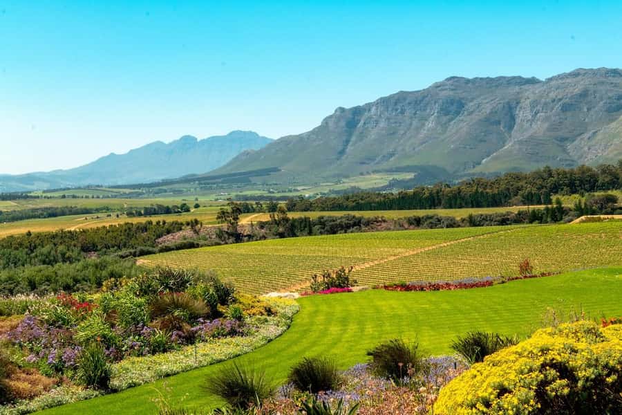 Private Full-Day Winelands Tour in Stellenbosch - Who will enjoy this tour most