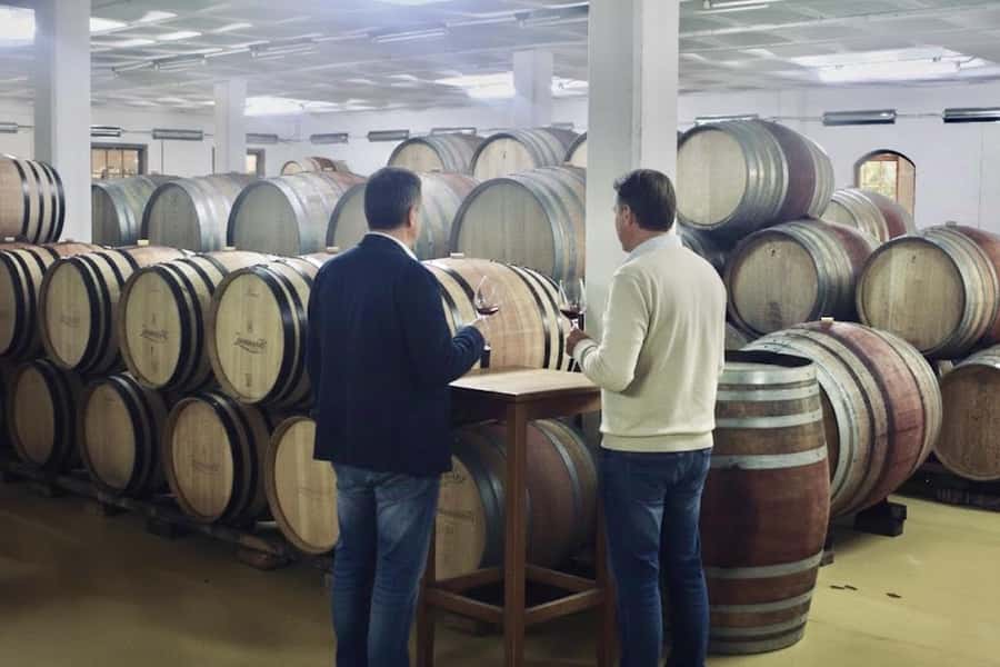 Private Full-Day Winelands Tour in Stellenbosch - My take on the $280 price