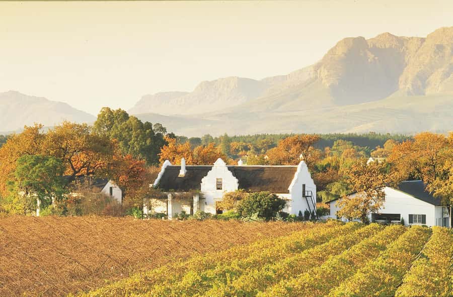 Private Full-Day Winelands Tour in Stellenbosch - Stellenbosch: wine, old streets, and Cape Dutch character