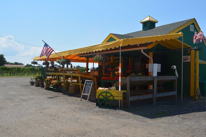 Private Guided Wine Country Bike Tour in Mattituck - Choosing the route and the right level of effort