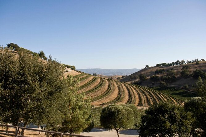 Private Guided Wine Country Tour from Santa Barbara - Key points to know before you go