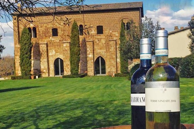 Private Orvieto Daytrip from Rome with Winery Visit - Why Orvieto makes a strong day trip from Rome
