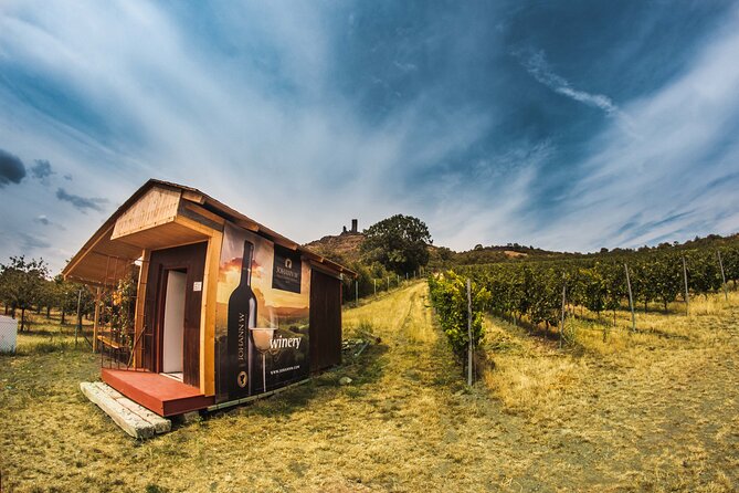 Private PICNIC in Bohemian Vineyards and Wine Tasting 4WD Tour - Practical timing and preparation