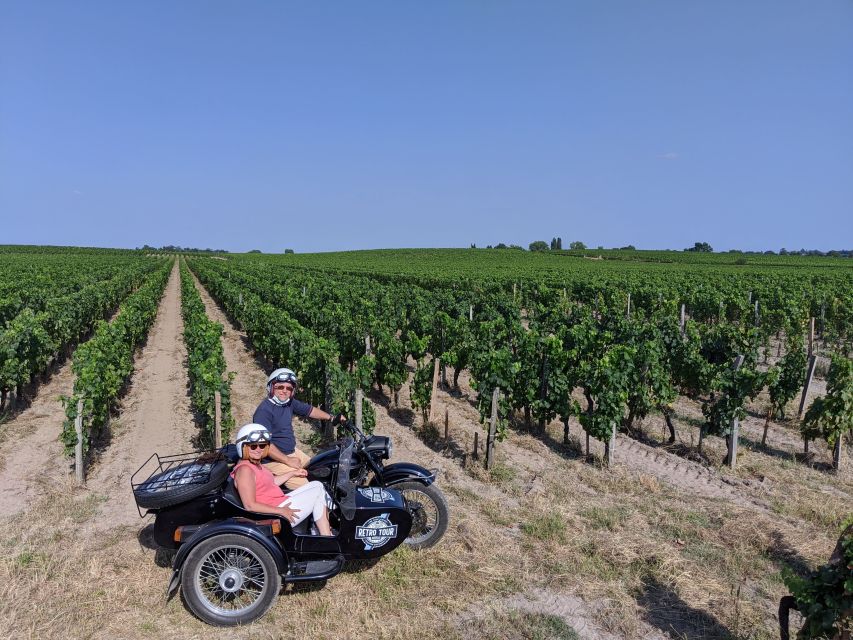 Private ride in the vineyards from Saint-Emilion - Key points to know before booking