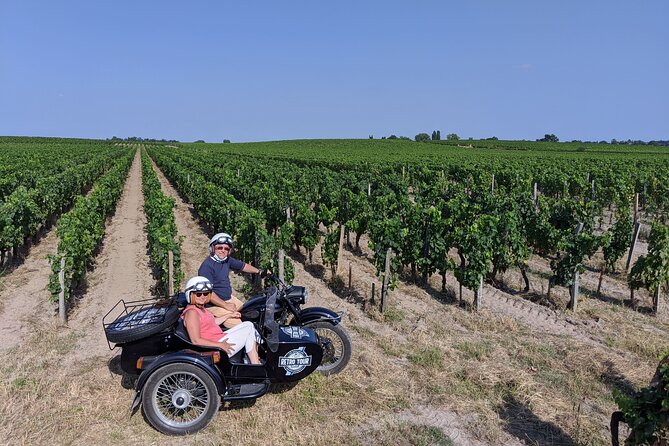 Private ride through the vineyards from Saint-Emilion - 1h30 - What the private format changes