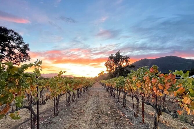 Private Santa Barbara Wine Country Vineyards & Villages Tour - Why this private wine tour works