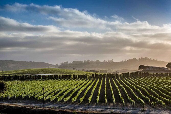 Private Santa Barbara Wine Country Vineyards & Villages Tour - Is $338 per person good value?