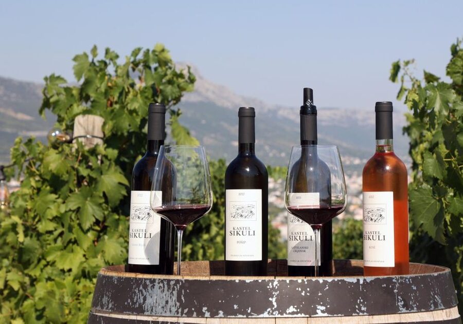 Private Split & Trogir Wine Tasting & Vineyard with Sea View - A hilltop vineyard with a Million-Dollar View
