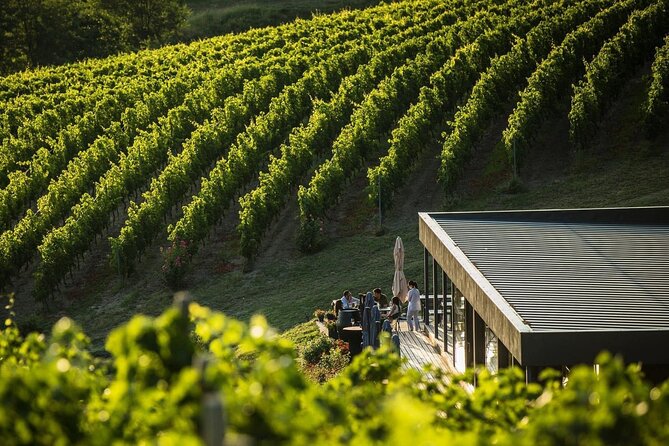 Private Tasting Expedition Along Romania’s Most Famous Wine Route - Starting at 9:00 am with a private group