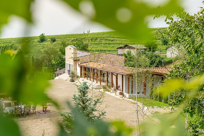 Private Tasting Expedition Along Romania’s Most Famous Wine Route - Who will enjoy this wine route most