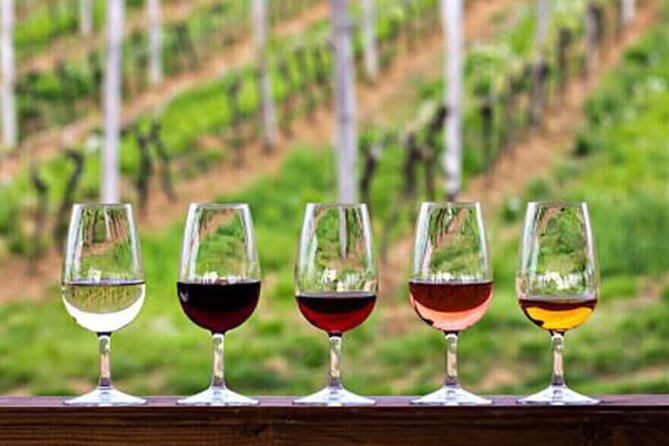 Private Taxi Tour in the Douro with a Visit to 2 Family Vineyards - Key points at a glance