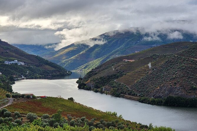 Private Taxi Tour in the Douro with a Visit to 2 Family Vineyards - Why this private Douro tour works well