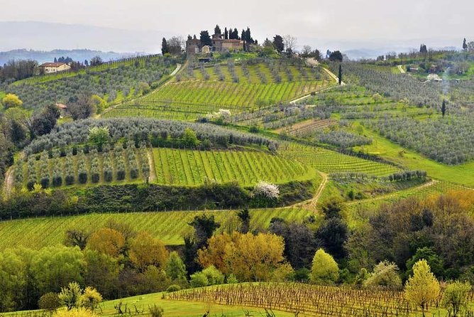 Private tour from Livorno port to Chianti Wine Region - San Gimignano, towers and narrow lanes
