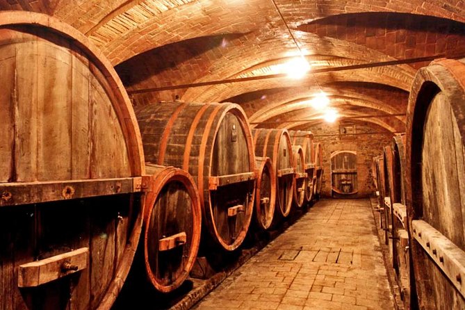 Private tour from Livorno port to Chianti Wine Region - What the $591.46 price really buys
