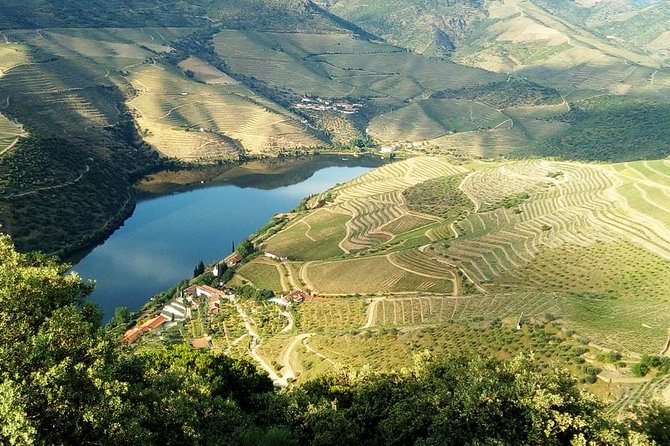 Private Tour in Douro Valley Wine Region & Traditional Lunch - Viewpoints above the Douro River