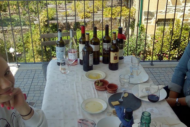 Private Tour in Douro Valley Wine Region & Traditional Lunch - Leaving Porto at 9:30 am