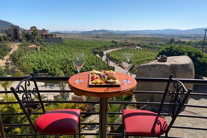 Private Tour in Guadalupe Valley, Vine Yards & Wine Route ENS MX - What the three or four winery stops can offer